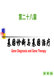 第28章基因诊断与基因治疗