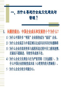 酒店企业文化培训(58页精品ppt)