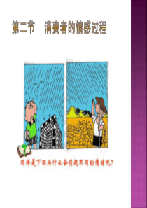 22消费者情感过程