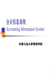 会计信息系统审计(PPT-49)