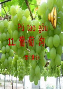部编版《葡萄沟》PPT课件
