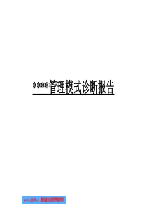 管理模式诊断报告(2)