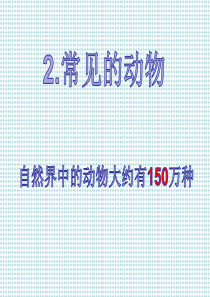 科学《常见的动物》PPT课件