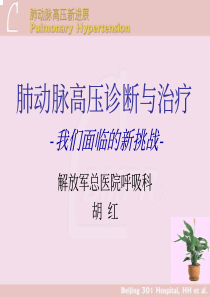 肺动脉高压诊断与治疗