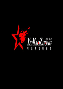 营销大师--叶茂中大红鹰营销诊断完稿ok