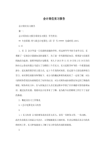 会计岗位实习报告