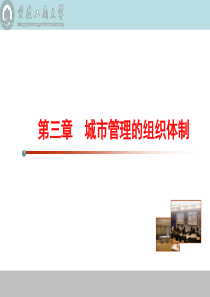 3-第三章-城市管理的组织体制