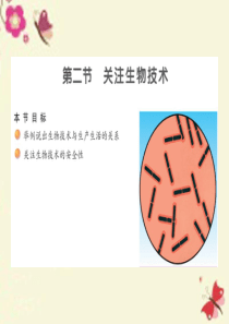苏教版生物八下24.2《关注生物技术》ppt课件