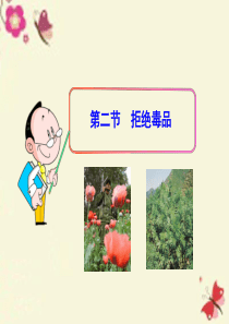 苏教版生物八下26.2《拒绝毒品》ppt课件
