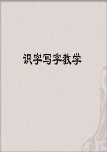 识字教学讲座