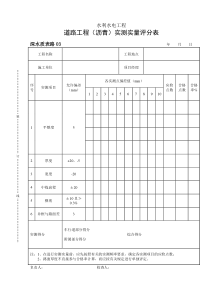 深水质表路03沥青路实测实量评分表