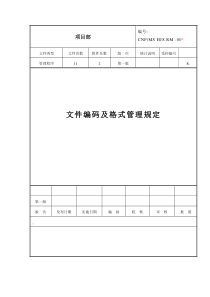 项目部文件编码及格式管理规定(WORD14页)