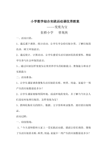 小学综合实践活动课教案