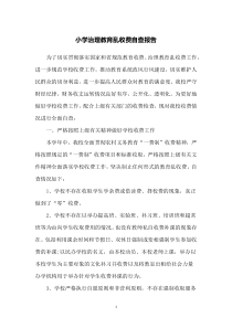 小学治理教育乱收费自查报告