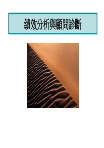 顾问绩效诊断