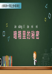 【苏教版】小学科学一年级上册：第8课《暗箱里的秘密》ppt课件