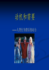 动机和需要.ppt