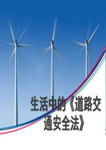 生活中的《道路交通安全法》