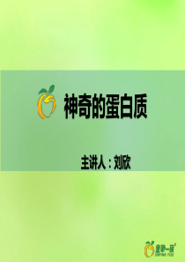蛋白质粉详解