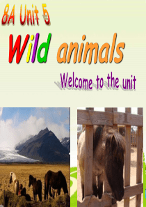 8A英语(牛津译林版)Unit-5-Wild-animals-welcome-to-the-unit
