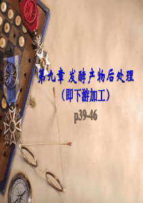 第九章-发酵产物后处理