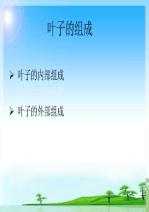 叶子的结构。