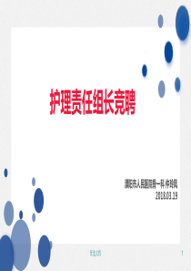 护理责任组长的竞聘归纳.ppt