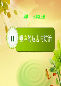 11、噪声的危害与防治