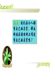 网络域名及域名解析ppt课件