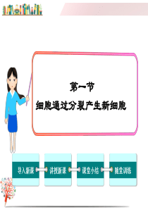 《第一节--细胞通过分裂产生新细胞》课件
