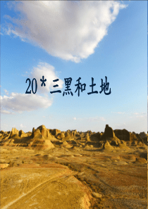 《三黑和土地》PPT课件