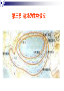 各种类型磁场的生物效应