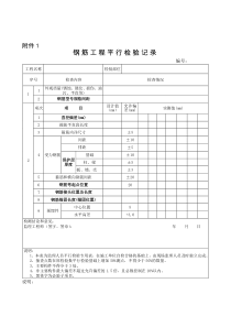 监理最新平行检验记录
