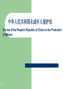 中华人民共和国未成年人保护法宣讲PPT精选文档