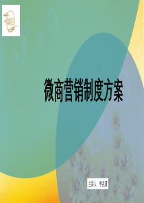 微商营销制度方案