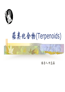 萜类ppt课件