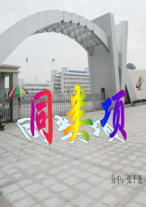 同类项.ppt