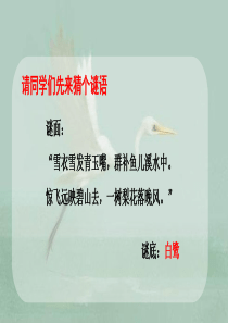 1-白鹭-第一课时--五年级上册