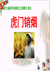 虎门销烟-PPT优秀课件8