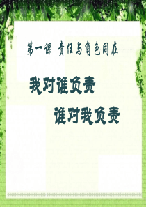 《我对谁负责谁对我负责》责任与角色同在PPT课件4