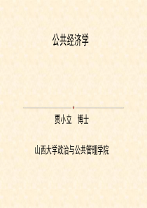 第4章-公共选择.ppt