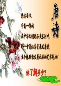 《十首足矣》ppt课件