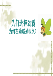 终端形象规范--服务礼仪规范