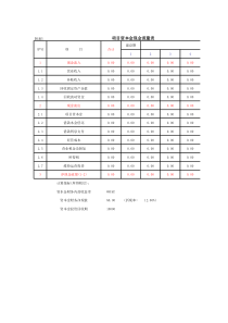 附表5--项目资本金现金流量表