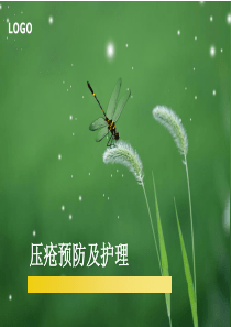 2019压疮的预防与护理..ppt