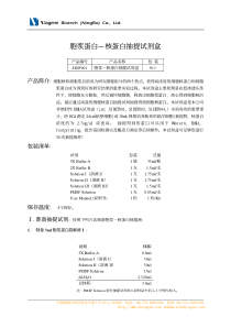 胞浆蛋白—核蛋白抽提试剂盒说明书