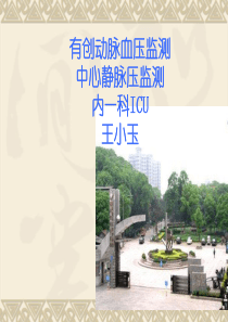 有创动脉血压监测