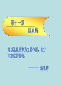 中药药理学温里药PPt