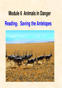 Saving-the-Antelopes