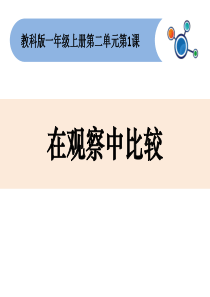 一年级上册科学在观察中比较教科版